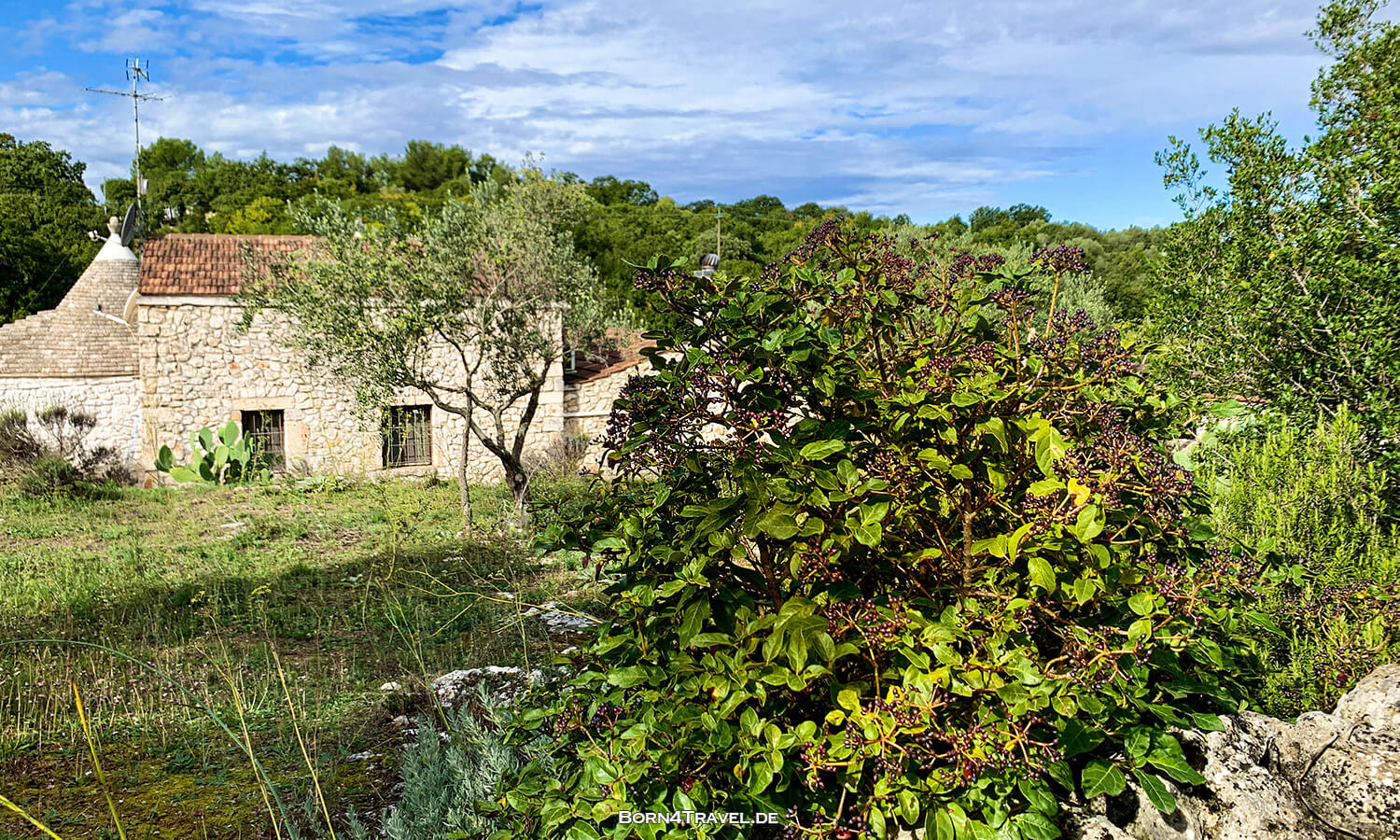 Dimora Casanoja bei Noci,Apulien,Puglia,Italien,born4travel.de