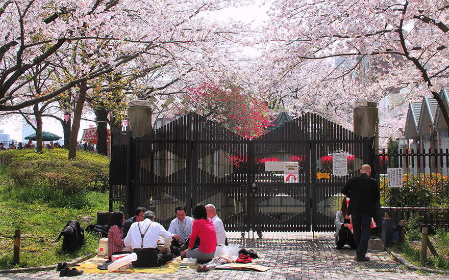 Hanami,Asakusa