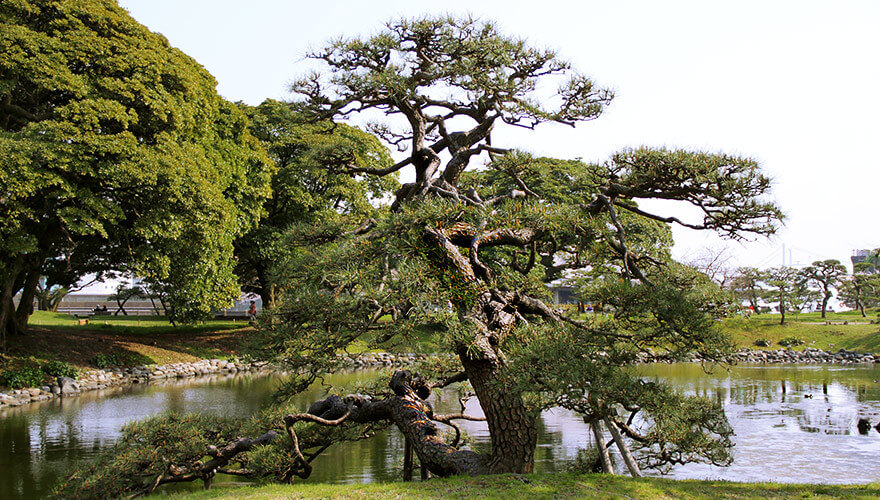 Hamarikyu garden,tokyo