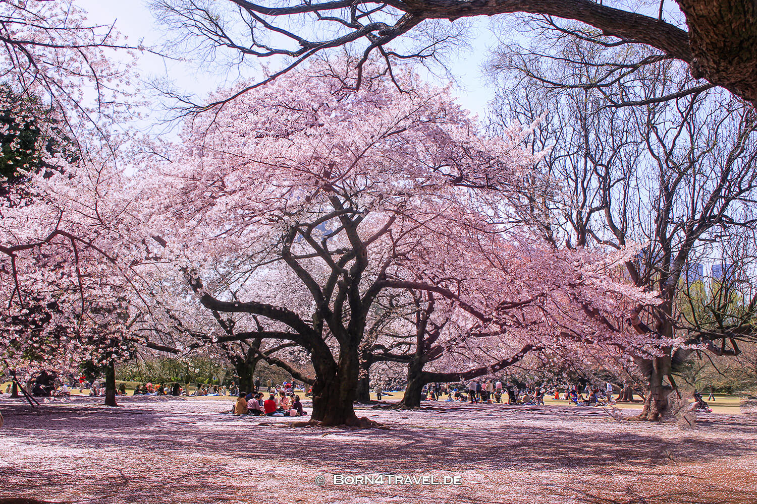 Shinjuku Garden,tokyo 