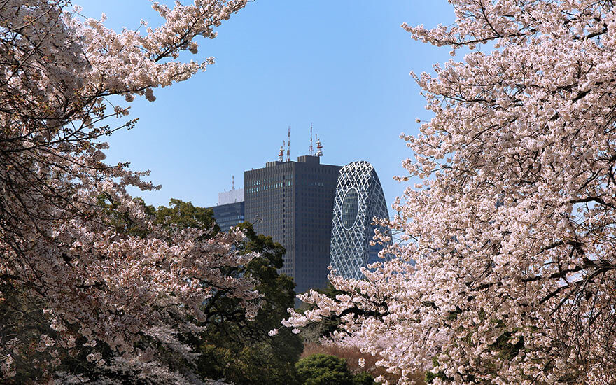 Shinjuku Garden,tokyo 