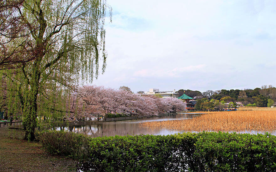 ueno Park,Tōkyō