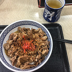 Yoshinoya Aksasaka, born4travel.de