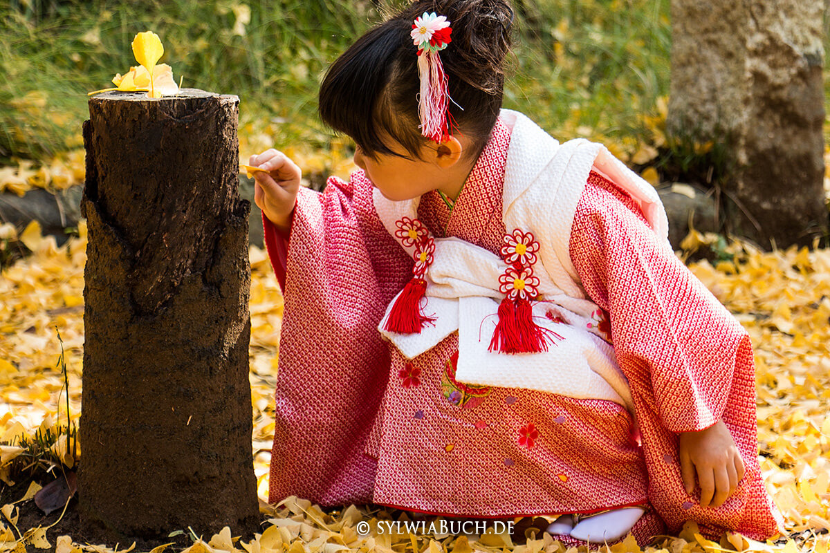 Hikawa Jinja,born4travel.de