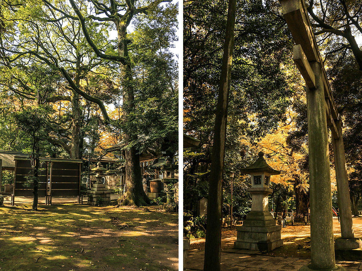 Hikawa Jinja,born4travel.de