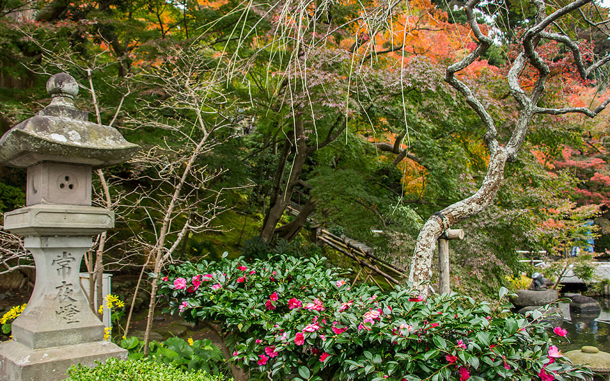 Kamakura, Hasedera,born4travel.de