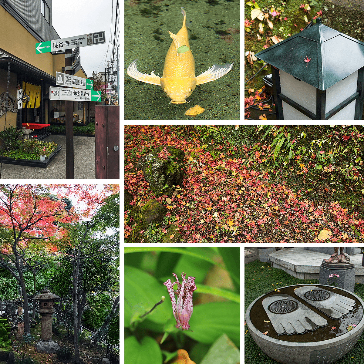 Kamakura, Hasedera,born4travel.de