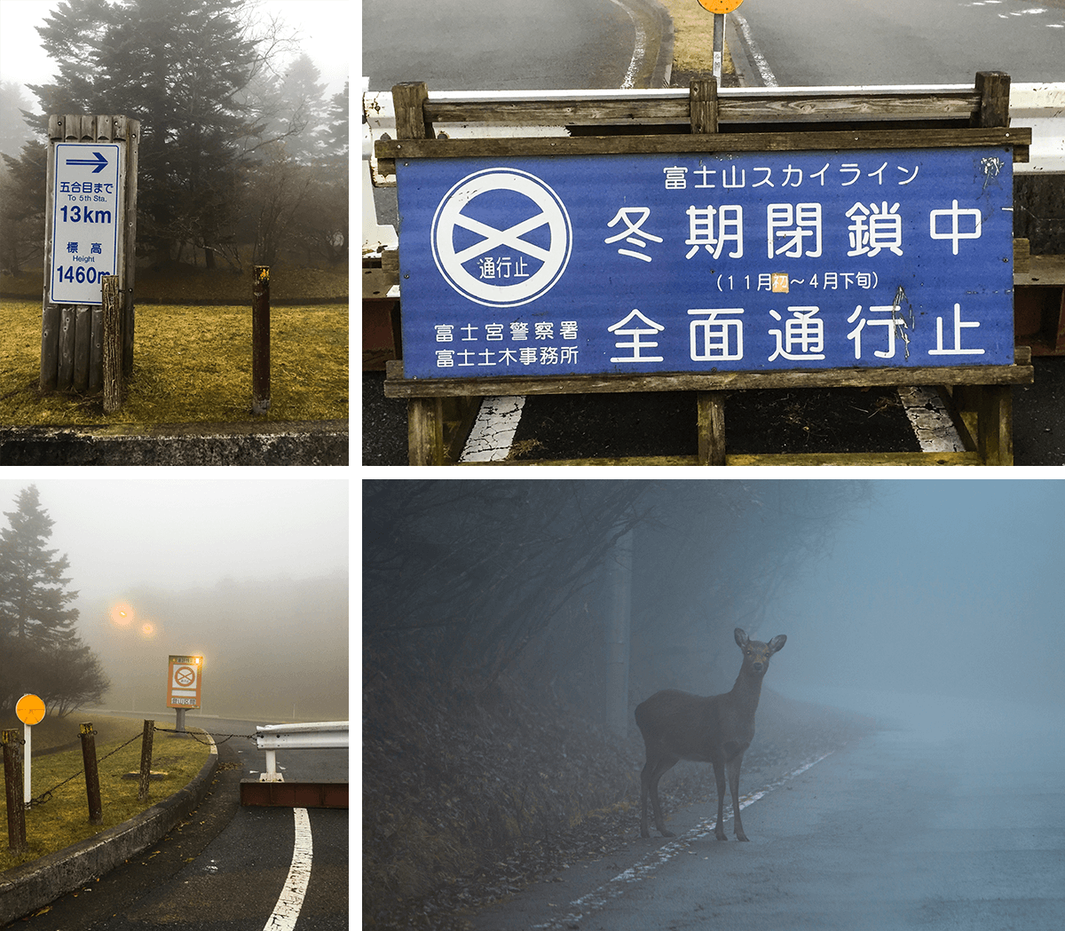 koyo,autumn leaves,Japan, born4travel.de