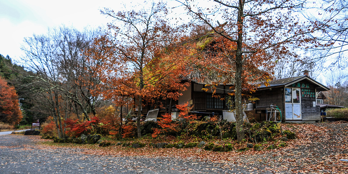 koyo,autumn leaves,Japan, born4travel.de koyo,autumn leaves,Japan, born4travel.de