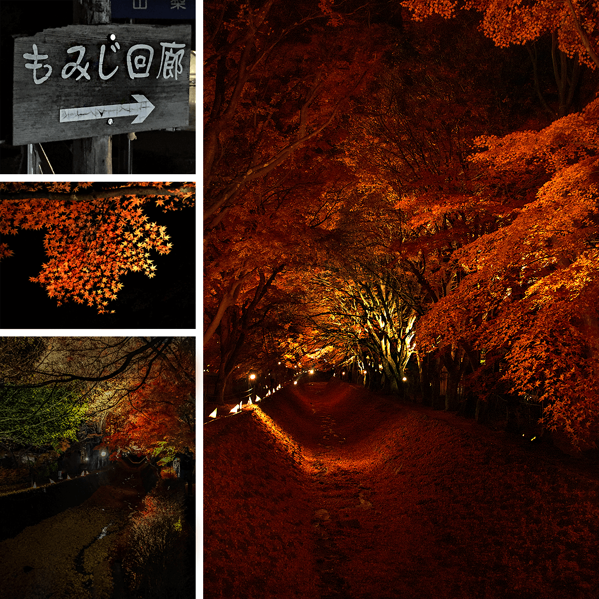 Fujikawaguchiko Autumn Leaves Festivals,Japan,born4travel.de Fujikawaguchiko Autumn Leaves Festivals,Japan,born4travel.de