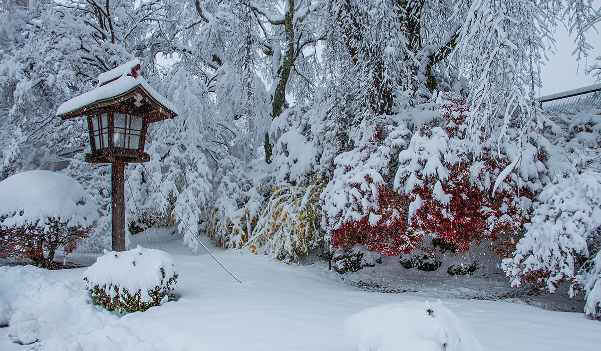 snow, winter in kawaguchiko,born4travel.de