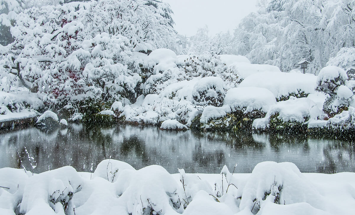 snow, winter in kawaguchiko,born4travel.de