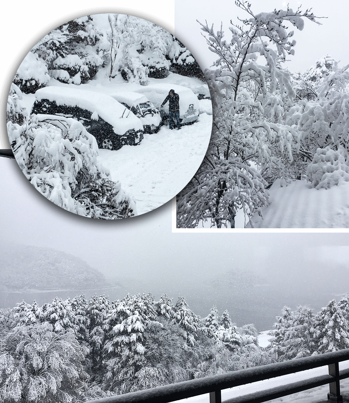 view from Hotel,born4travel.de