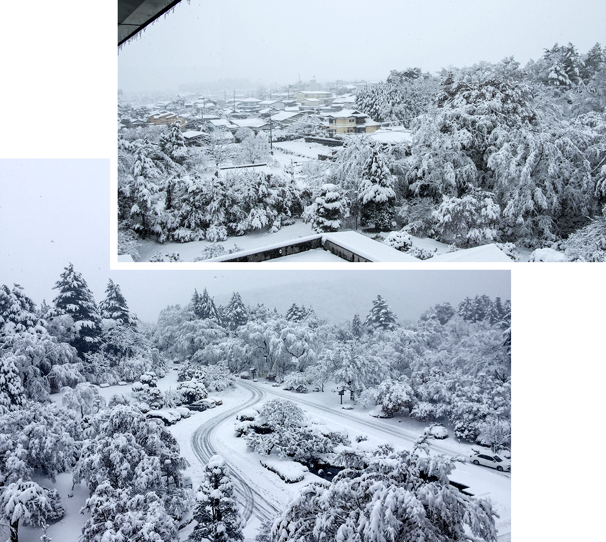 view from Hotel,born4travel.de