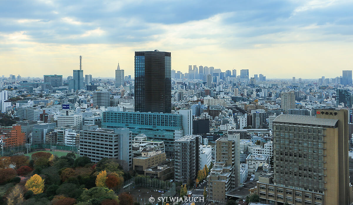 View from Bunkyō Civic Center,born4travel.de View from Bunkyō Civic Center,born4travel.de