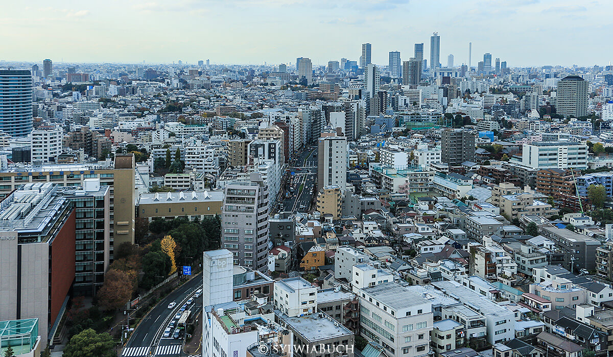 View from Bunkyō Civic Center,born4travel.de View from Bunkyō Civic Center,born4travel.de