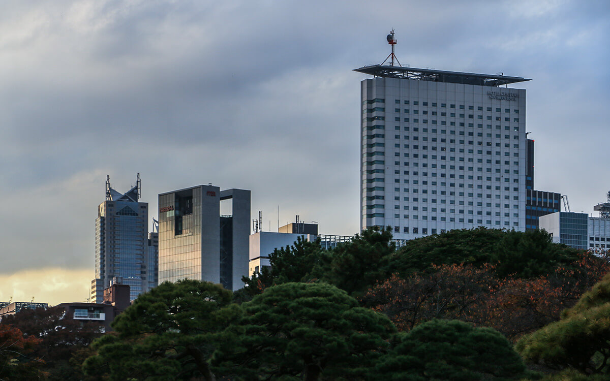 autumn leaves in Shinjuku Gyoen,born4travel.de autumn leaves in Shinjuku Gyoen,born4travel.de