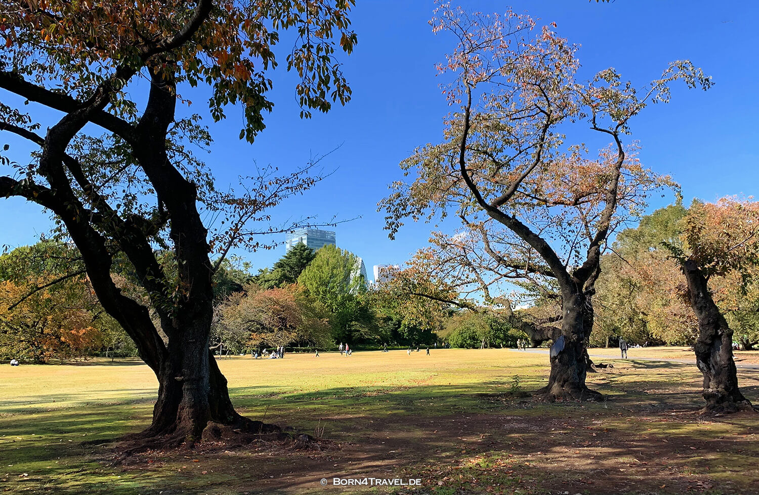 Shinjuku Garden,Tokyo by bike 2019,born4travel.de Shinjuku Garden,Tokyo by bike 2019,born4travel.de