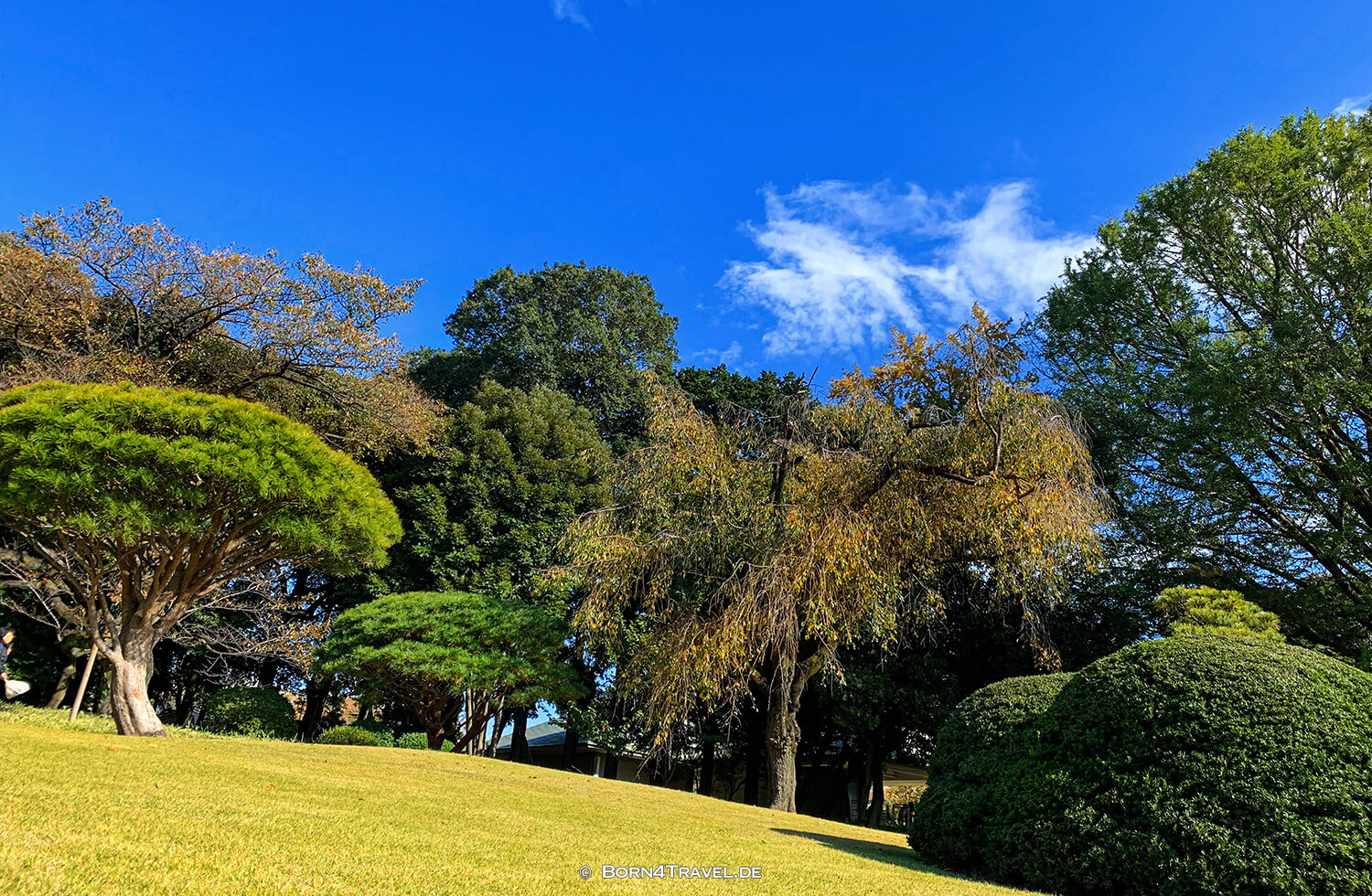 Shinjuku Garden,Tokyo by bike 2019,born4travel.de Shinjuku Garden,Tokyo by bike 2019,born4travel.de