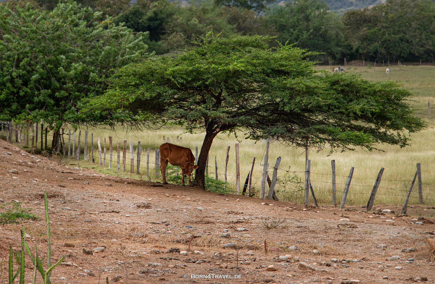 Desierto de la Tatacoa - Los Hoyos,Kolumbien,born4travel.de