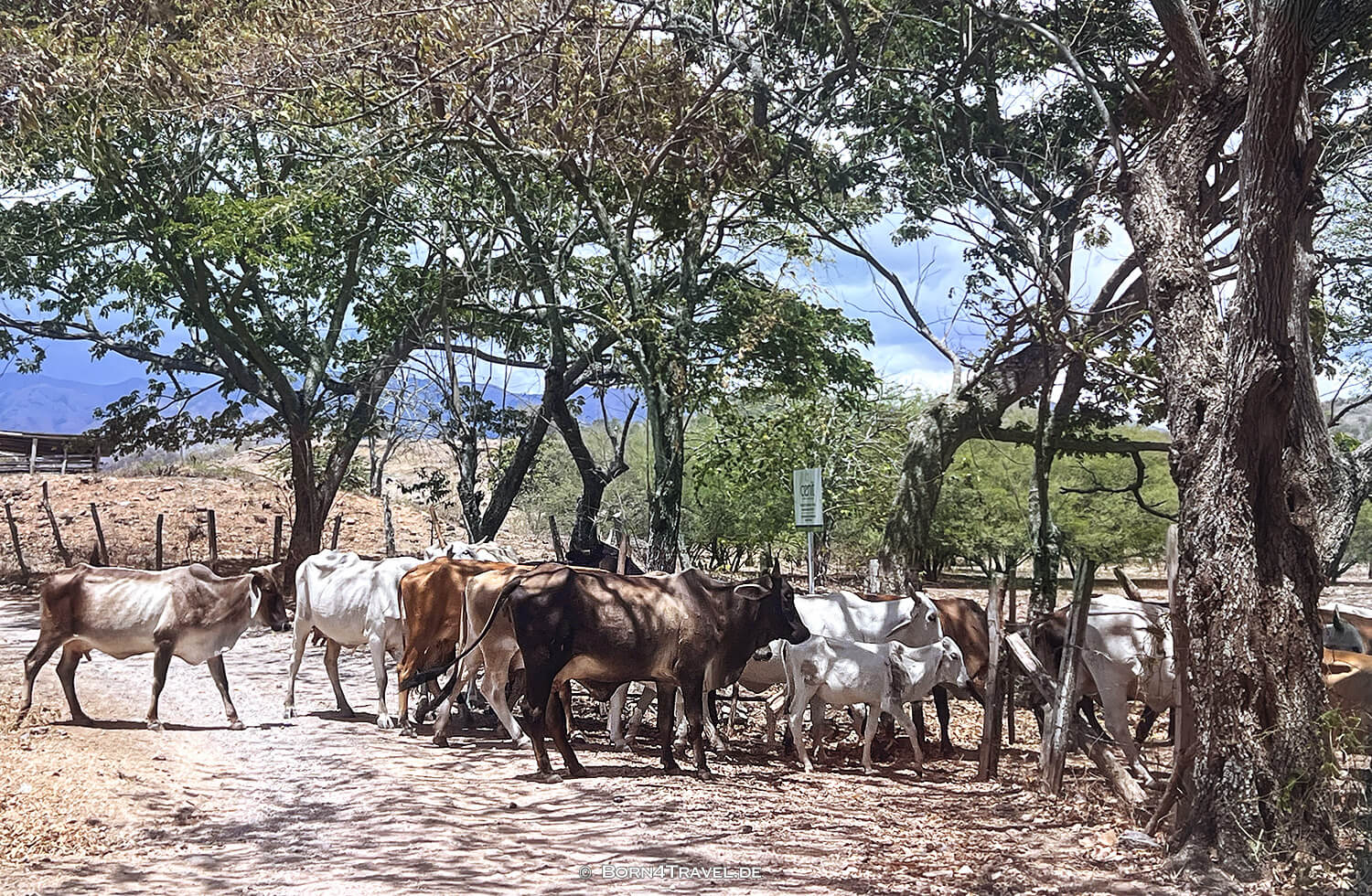 Calle Villavieja bis Tatacoa,Kolumbien,born4travel.de