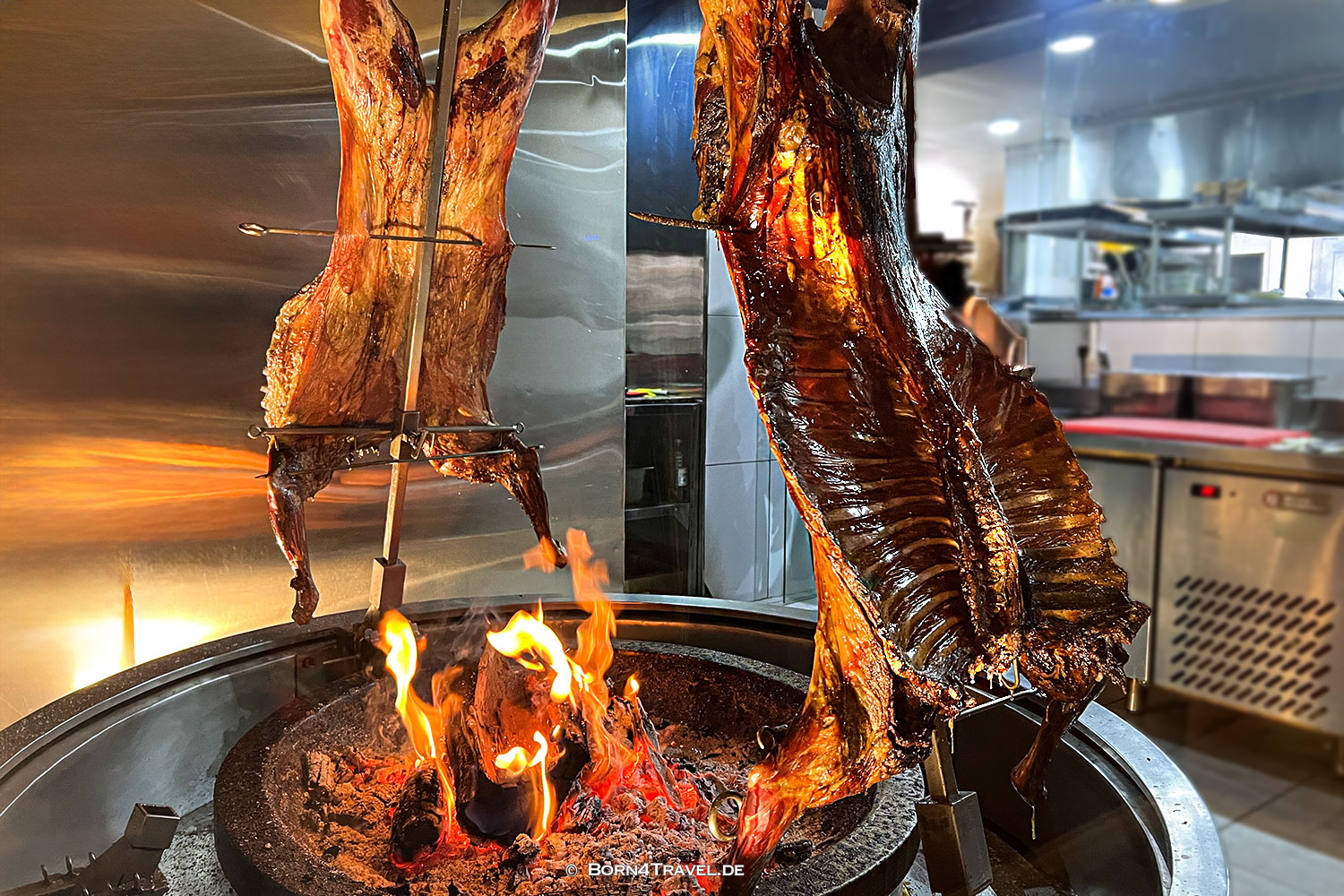 Mako in El Calafate,Argentina,born4travel.de Mako in El Calafate,Argentina,born4travel.de