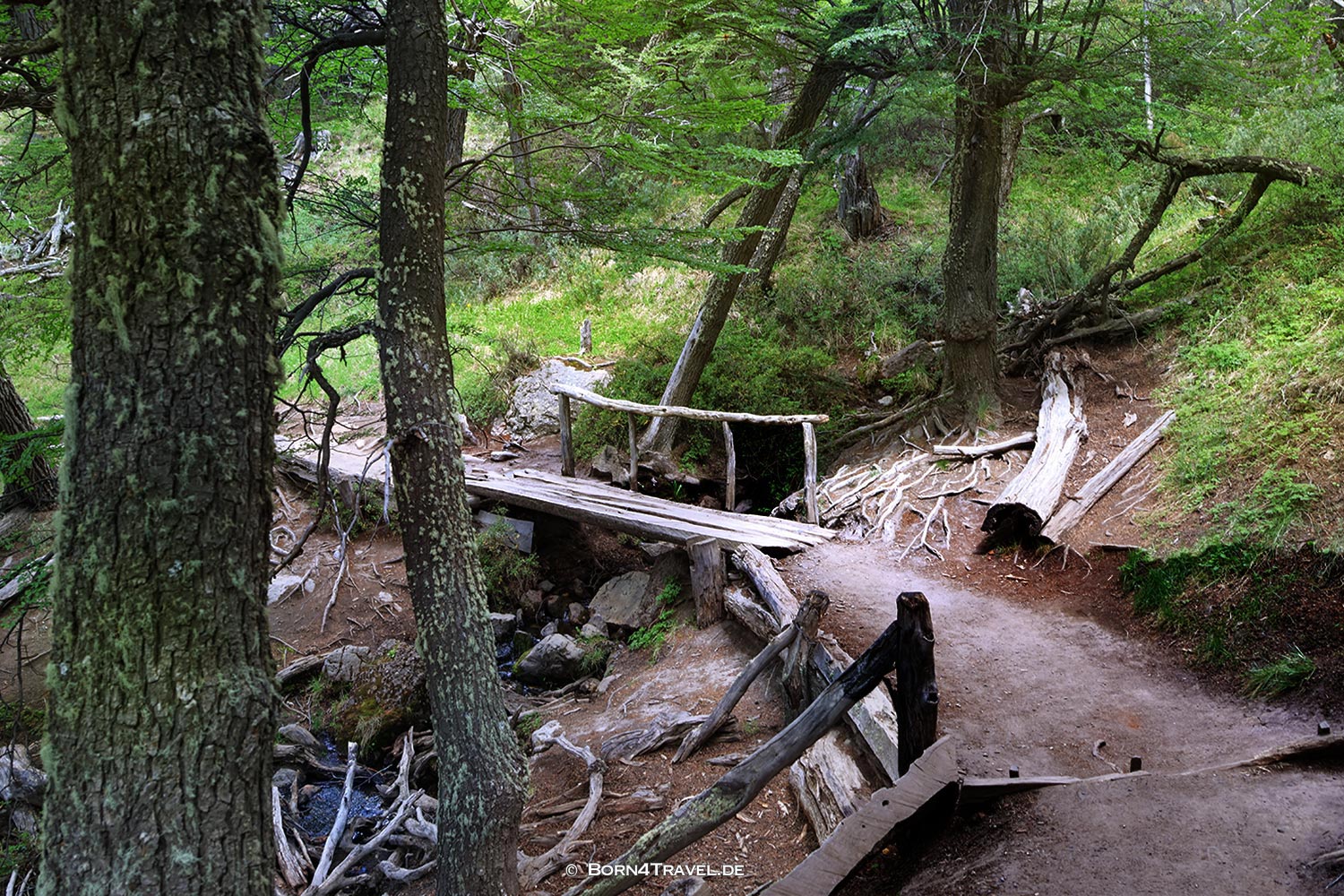 El Chaltén:Wanderung Sendero Torro | Fitz Roy,Argentinien,Patagonien,born4travel.de