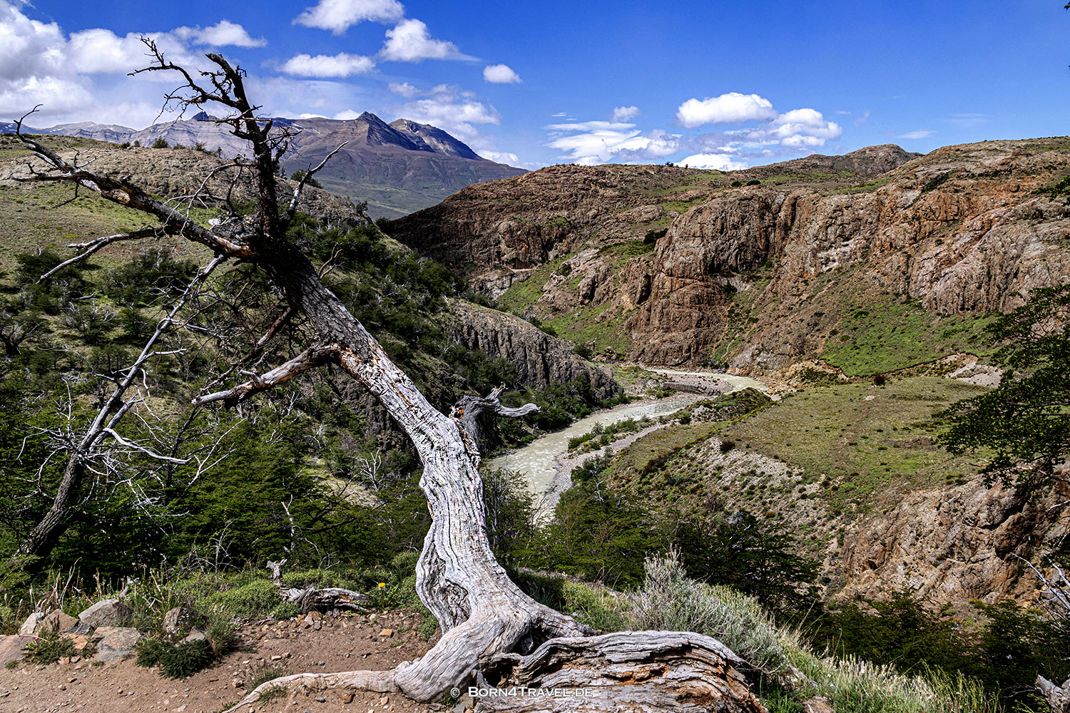 El Chaltén:Senda a Laguna Torre,Argentinien,Patagonien,born4travel.de
