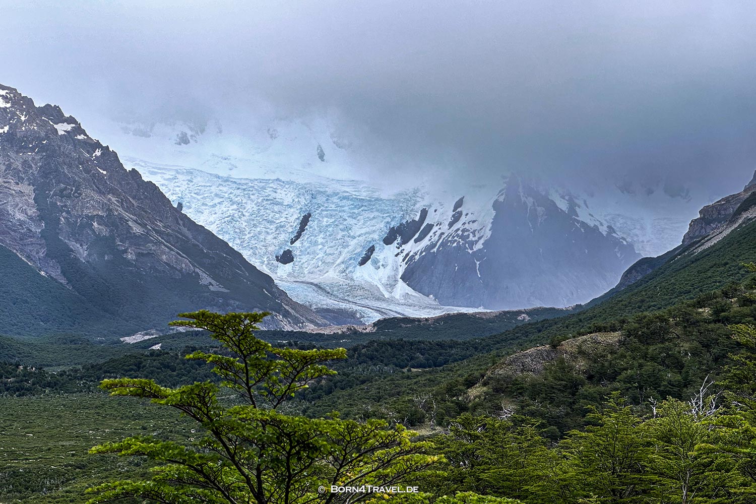 El Chaltén:Senda a Laguna Torre,Argentinien,Patagonien,born4travel.de