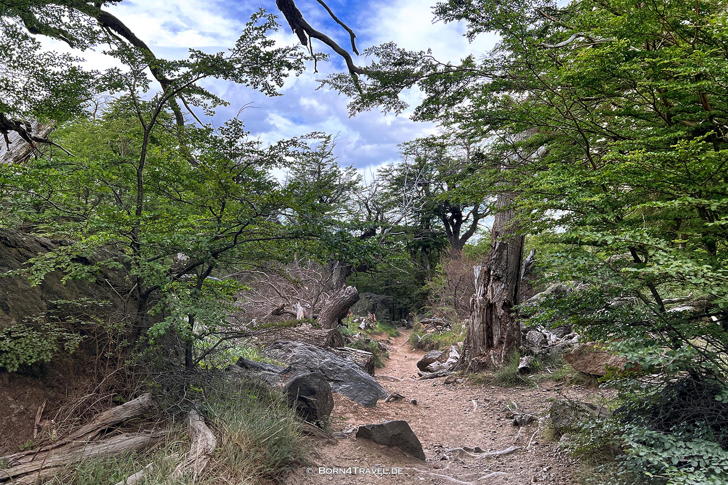 El Chaltén:Wanderung Sendero Torro | Fitz Roy,Argentinien,Patagonien,born4travel.de