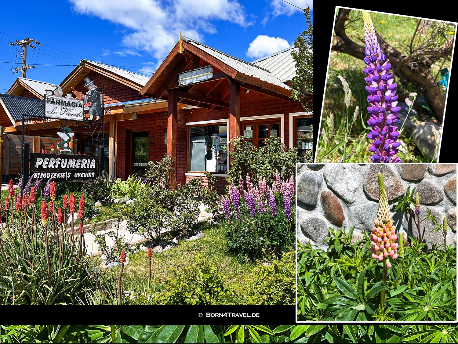 El Chaltén,Argentinien,Patagonien,born4travel.de