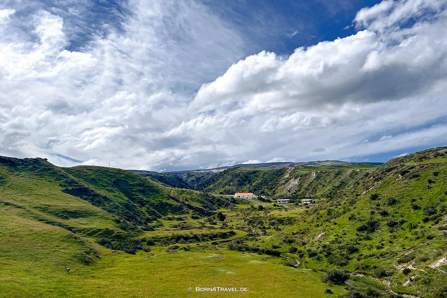 Auf dem Weg nach Porvenir,Región de Magallanes y de la Antártica Chilena,born4travel.de