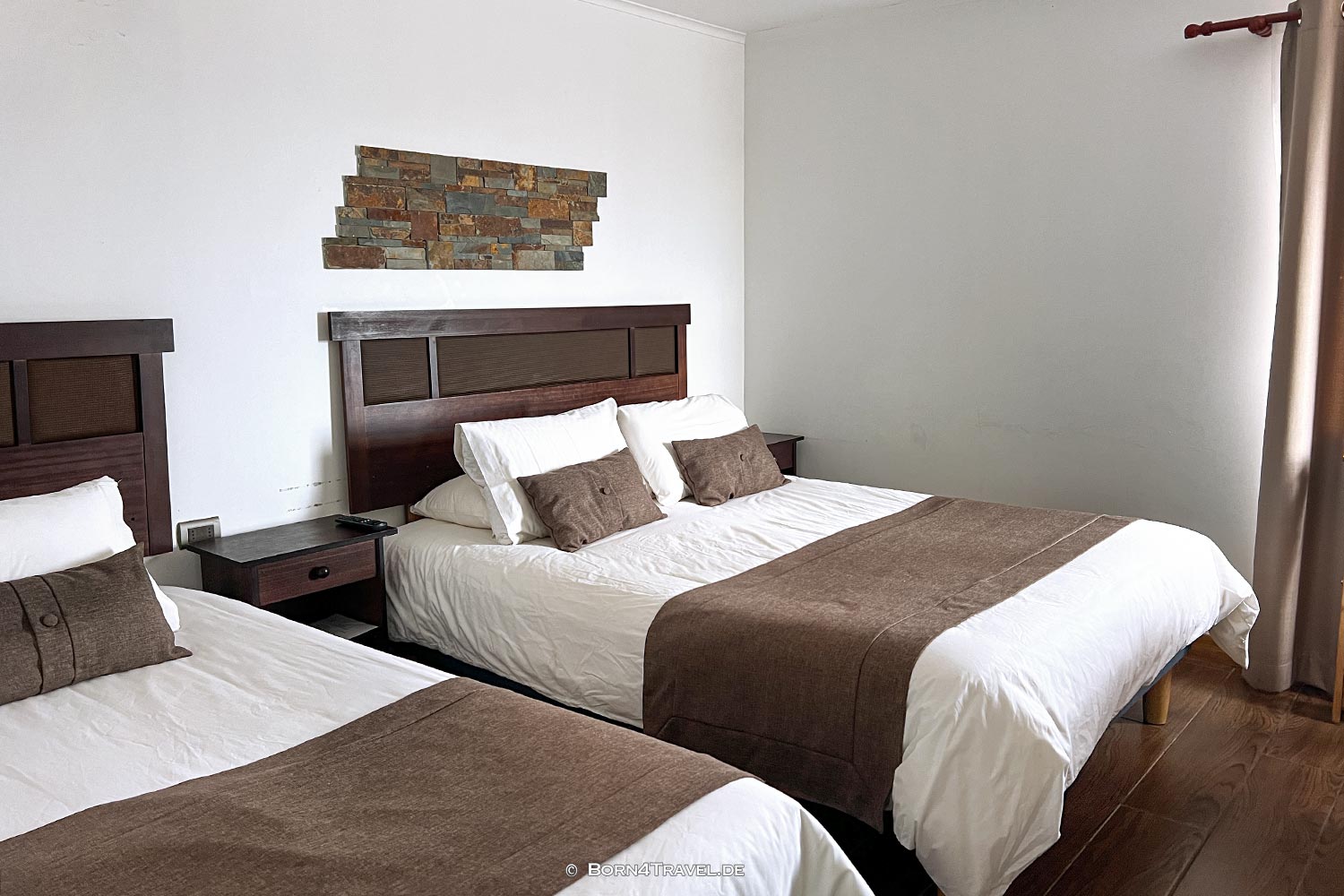 Gürteltier,Porvenir,Región de Magallanes y de la Antártica Chilena,born4travel.de