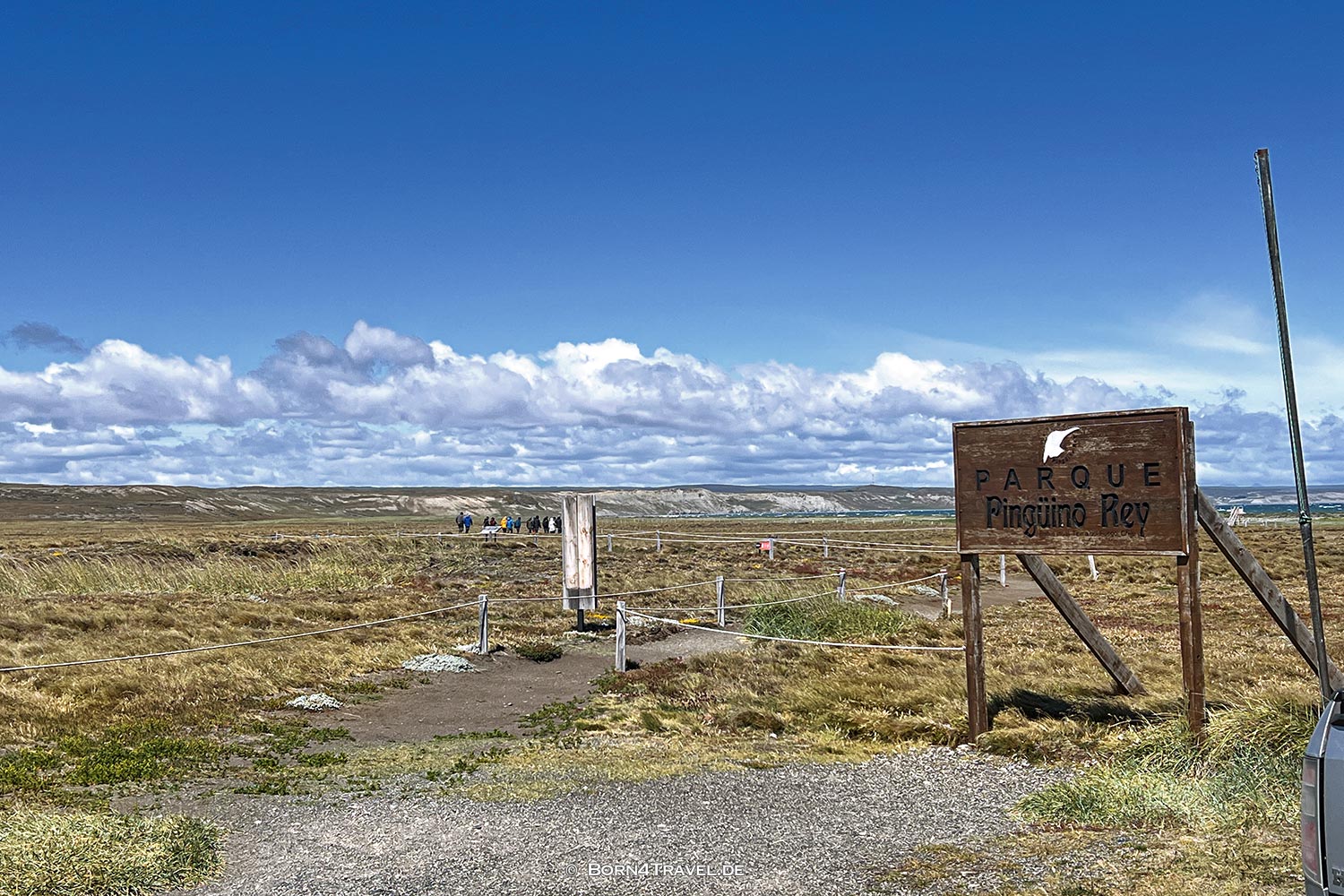 Reserva Naturale Pingüino Rey,Porvenir,Región de Magallanes y de la Antártica Chilena,born4travel.de