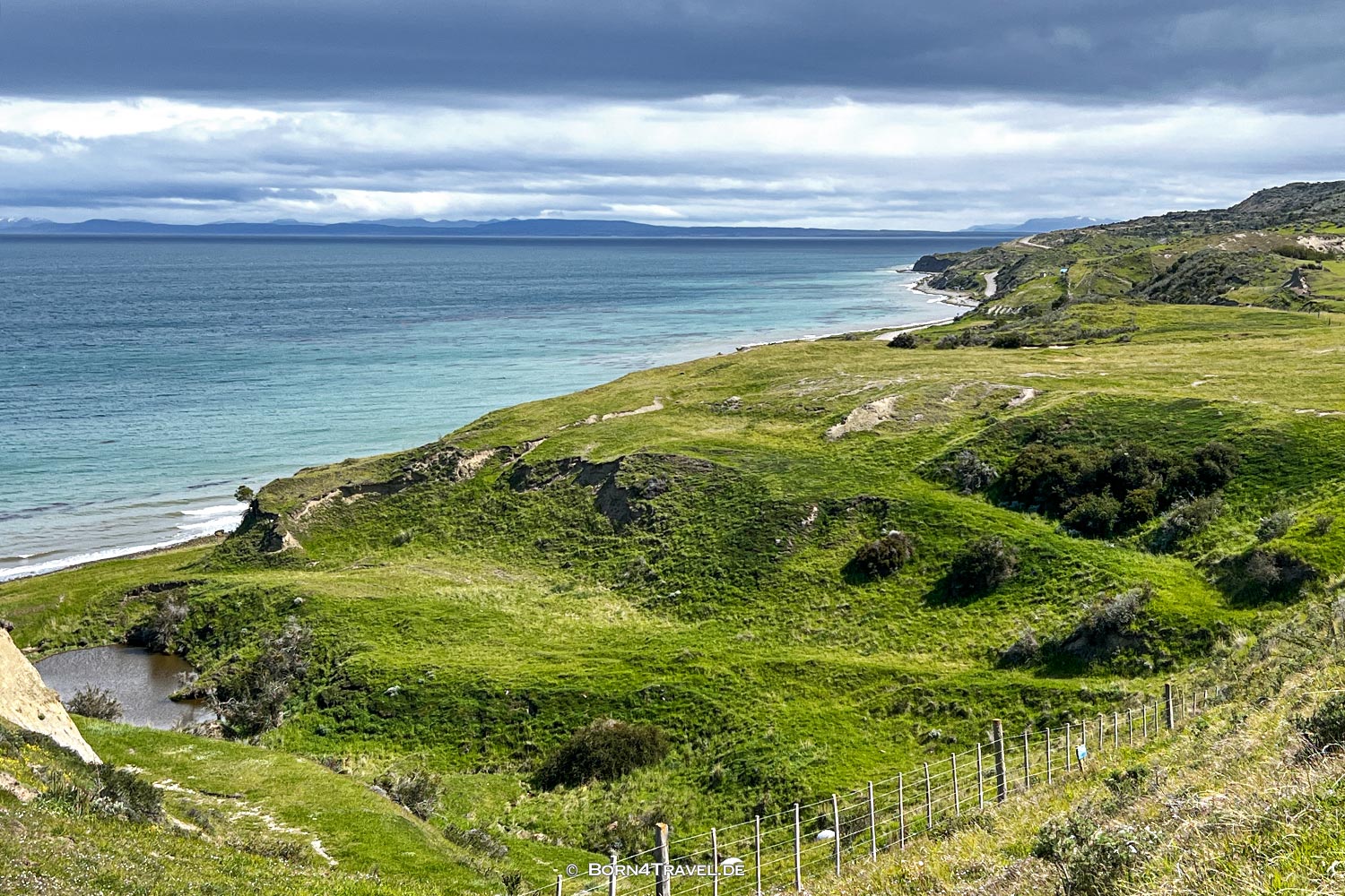 Gürteltier,Porvenir,Región de Magallanes y de la Antártica Chilena,born4travel.de