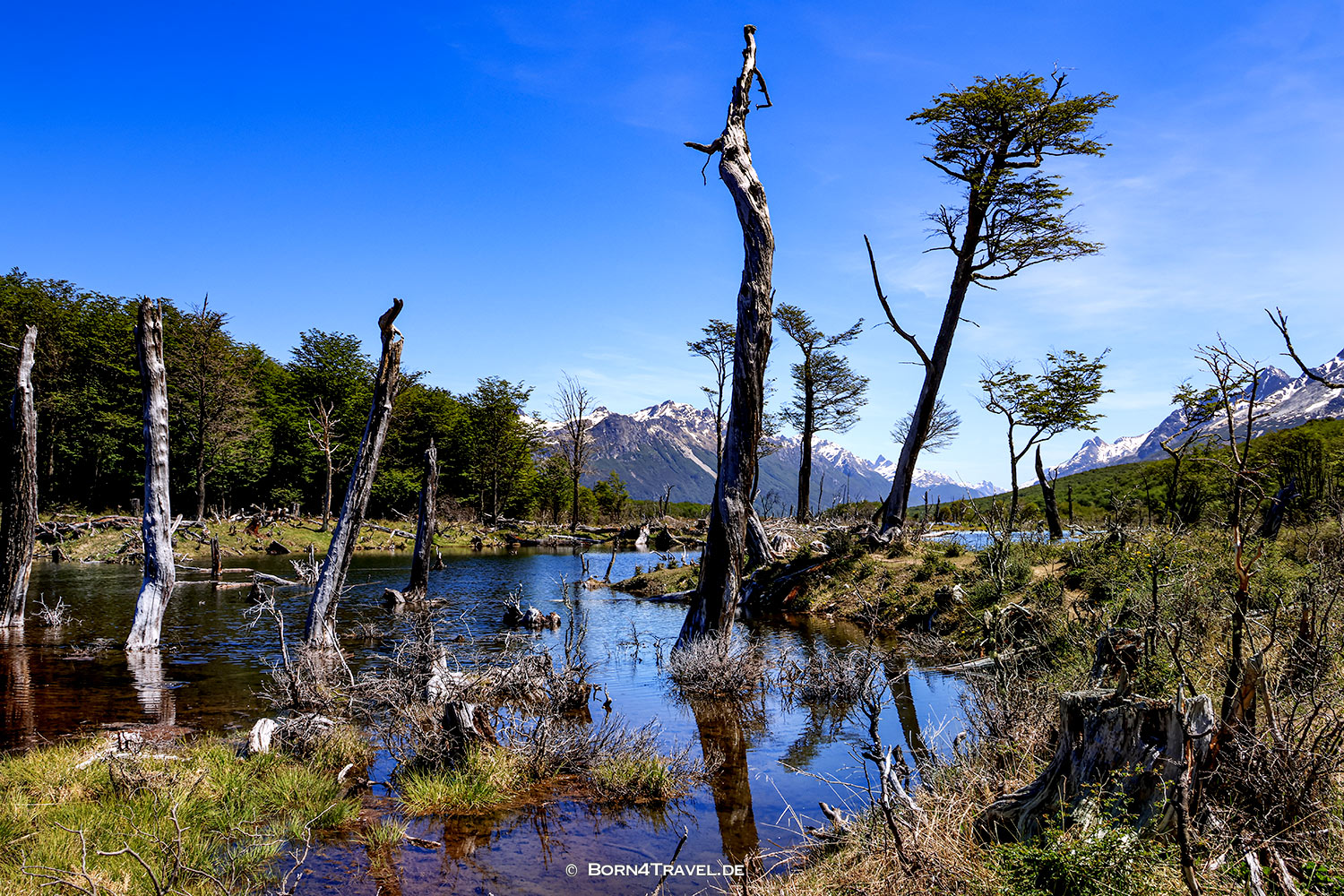 Hike Laguna Esmeralda,Ushuaia,Feuerland,Tierra del Fuego,Argentina,born4travel.de