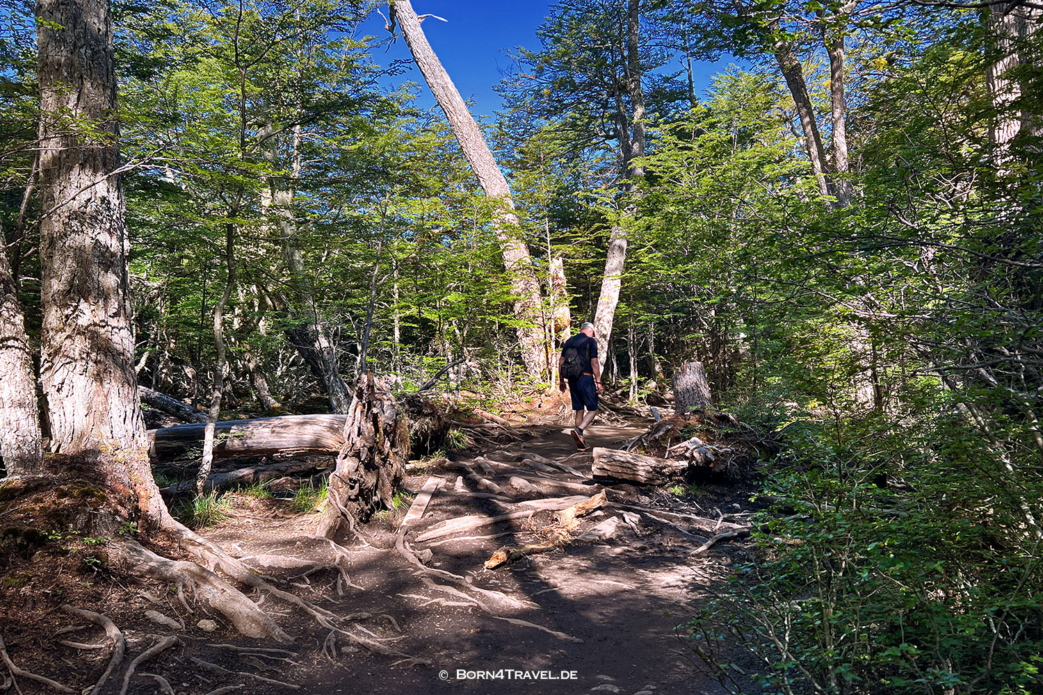Hike Laguna Esmeralda,Ushuaia,Feuerland,Tierra del Fuego,Argentina,born4travel.de