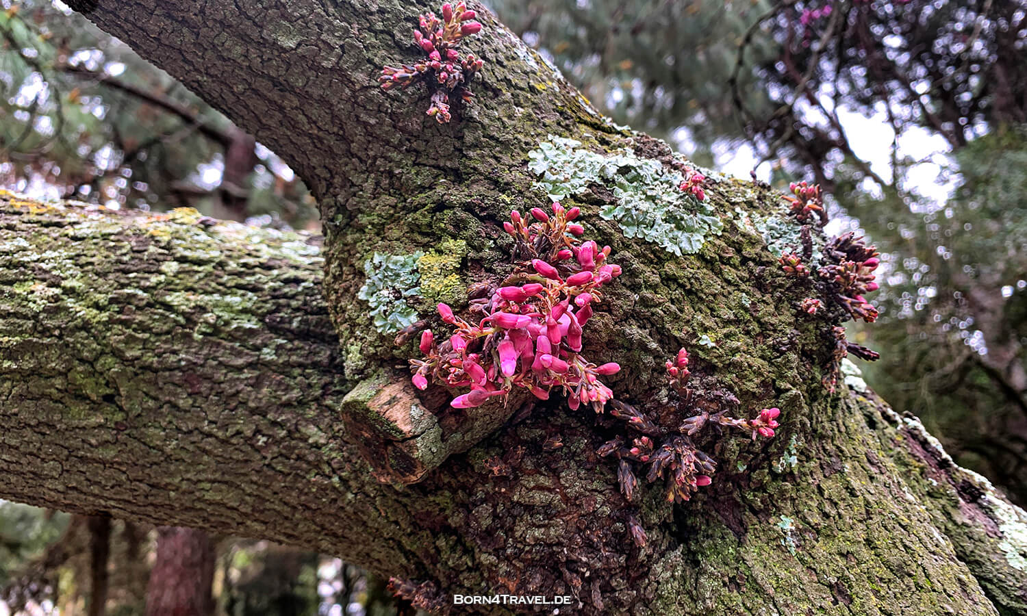 Lissabon,Portugal,born4travel.de