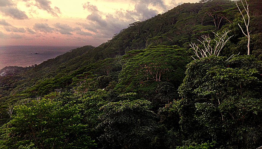 Belle Vue Restaurant,La Digue,seychelles