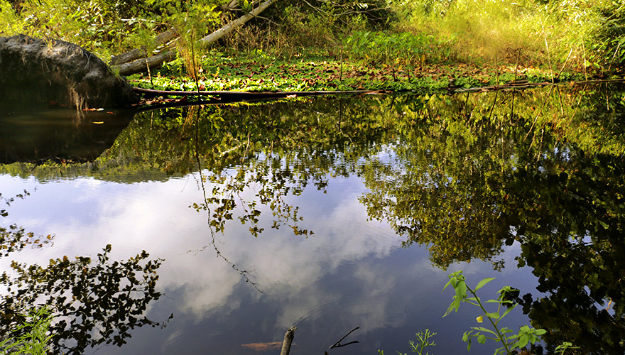 Grand Anse,La Digue,seychelles