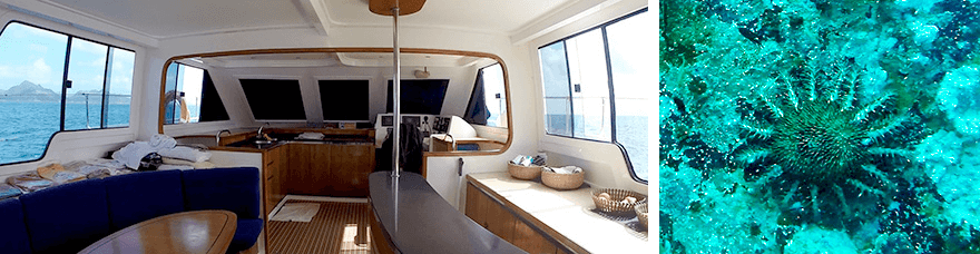 dive,la digue,seychelles