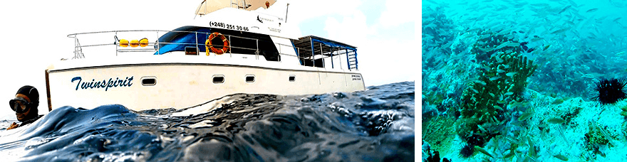 dive,la digue,seychelles