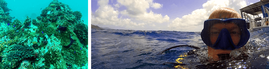 dive,la digue,seychelles