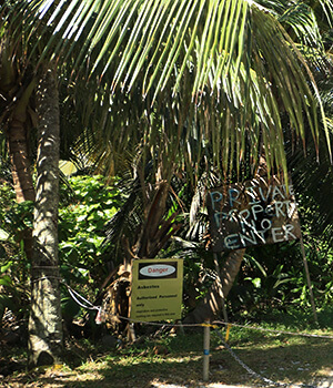 Petit Police,mahe,seychelles