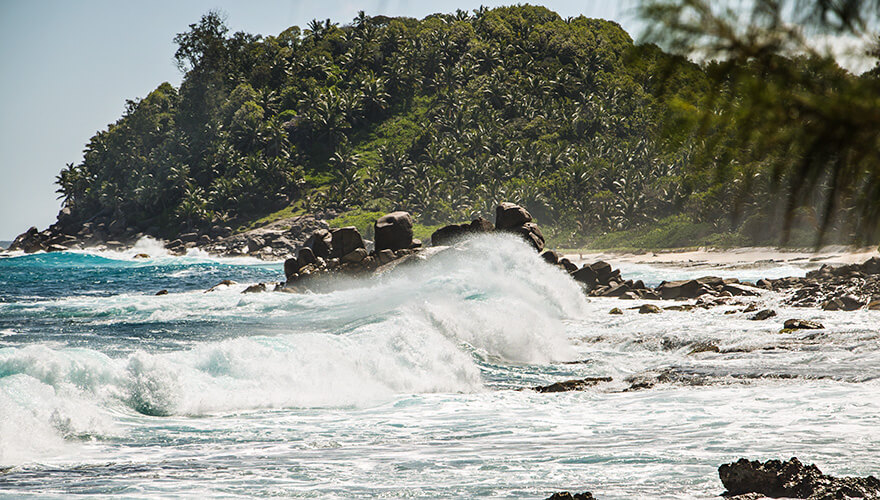 Petit Police,mahe,seychelles