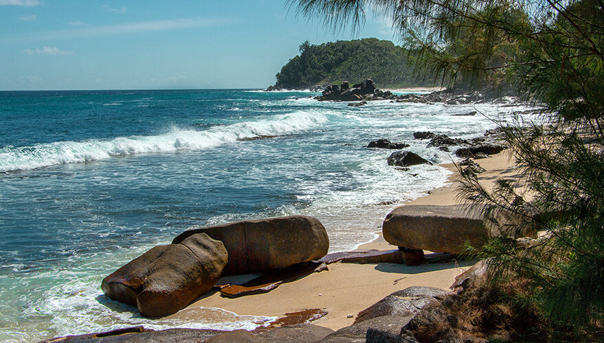 Petit Police,mahe,seychelles