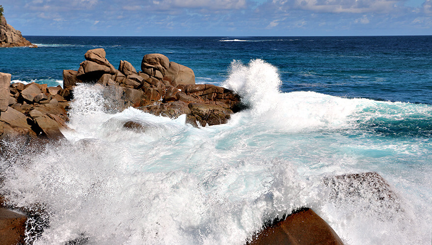 Petit Police,mahe,seychelles