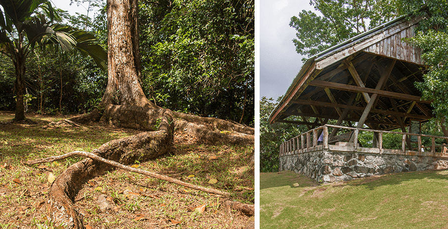Mission Lodge,Mont Fleuri,mahe, seychellen
