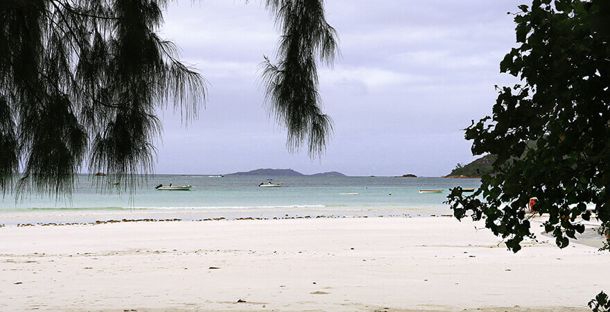 Côte D'Or Beach,praslin,seychelles