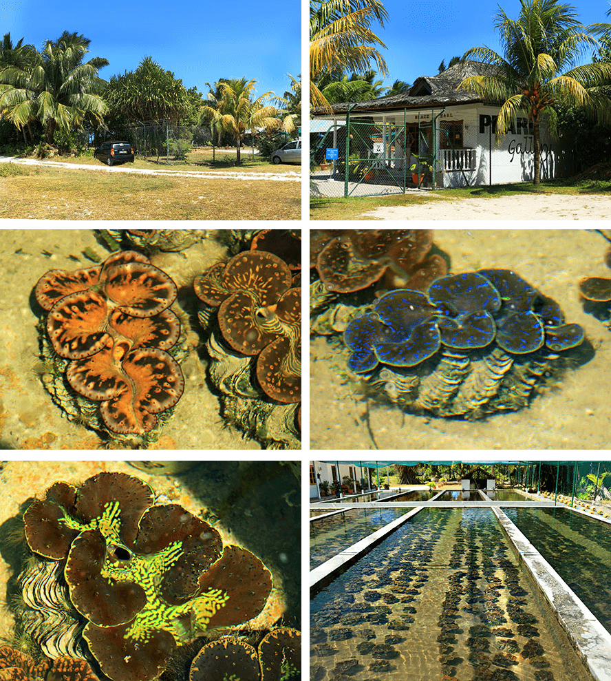 perlenfarm,praslin,seychelles